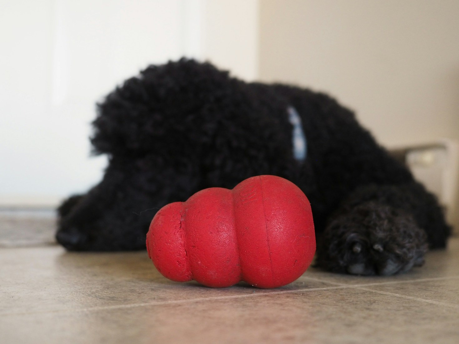 Creating Connection: The Role of Design in Serenity