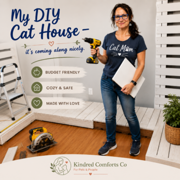 🌿DIY Cat Tree ~ Our Cats Deserve to Climb and Play!
