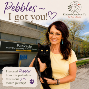 🌿Pebbles’ Rescue Story