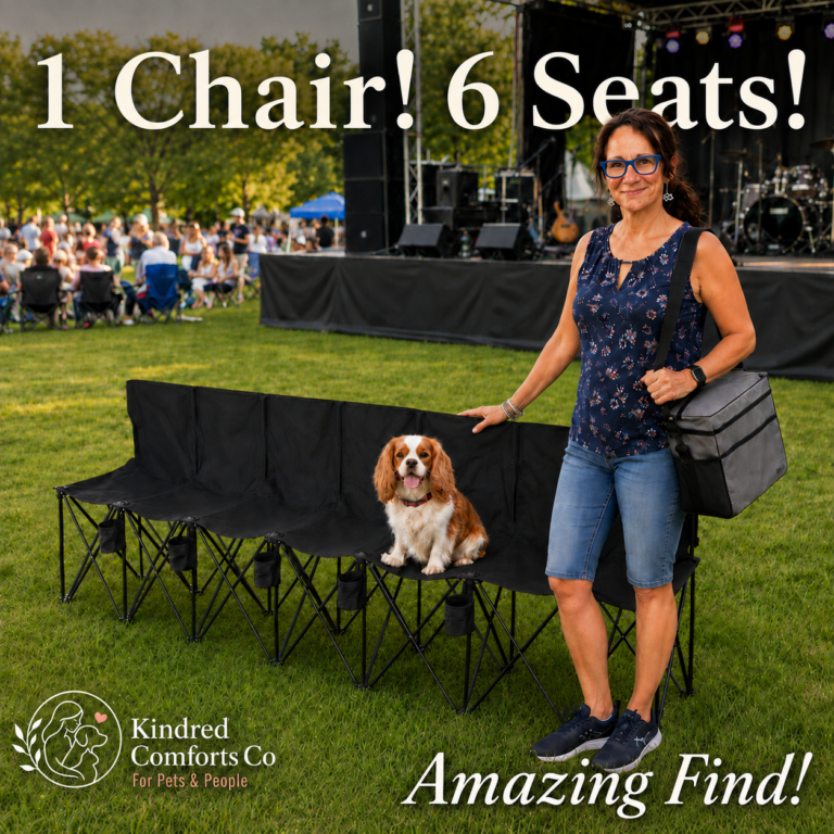 Woman stands beside a black six-person folding camping chair while Brandy, a Cavalier King Charles Spaniel, sits on one seat at an outdoor concert.